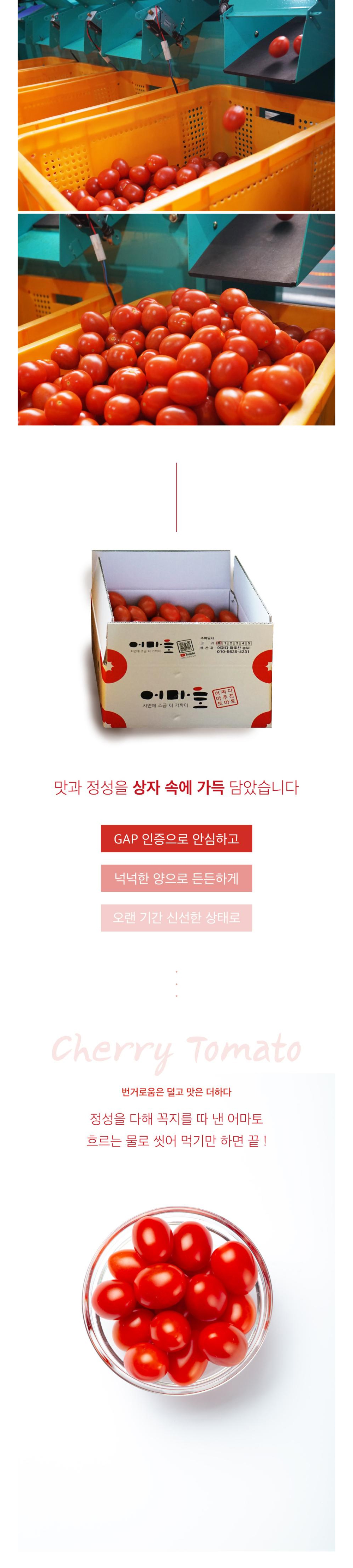 악세사리 상품상세 이미지-S1L11