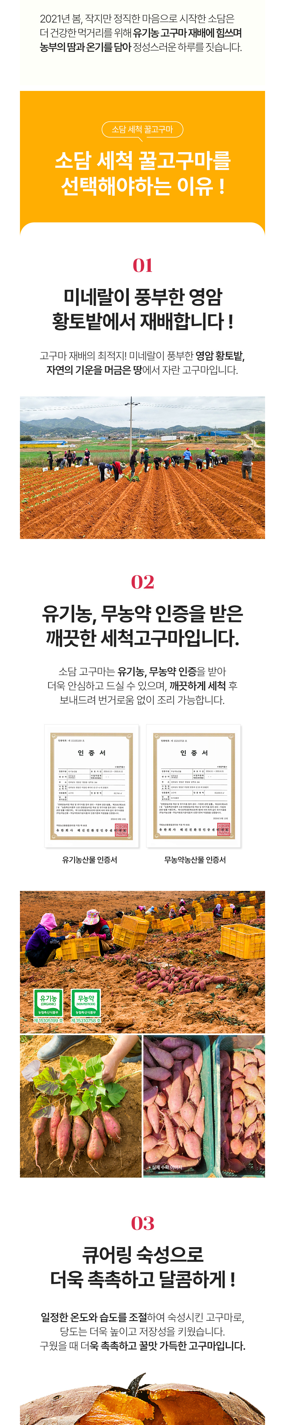 점퍼 상품상세 이미지-S1L2