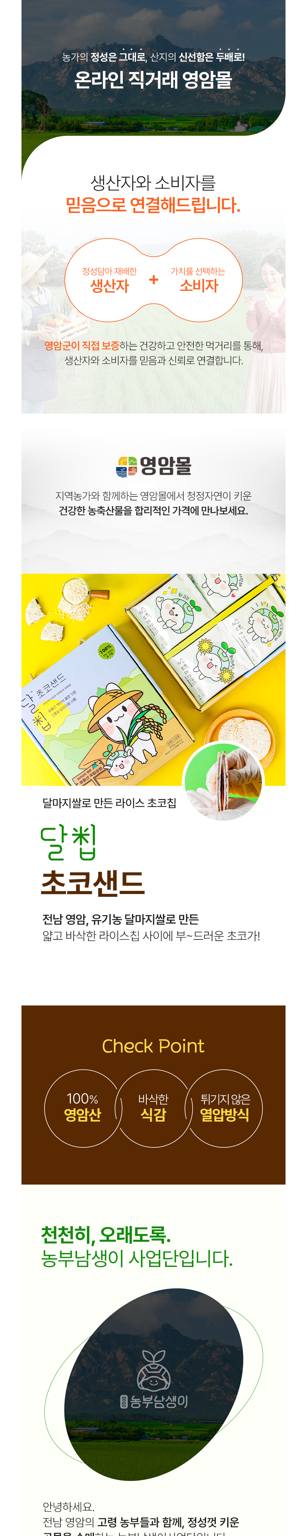 달칩 초코샌드 선물세트 12g x 20개입 상세이미지 1