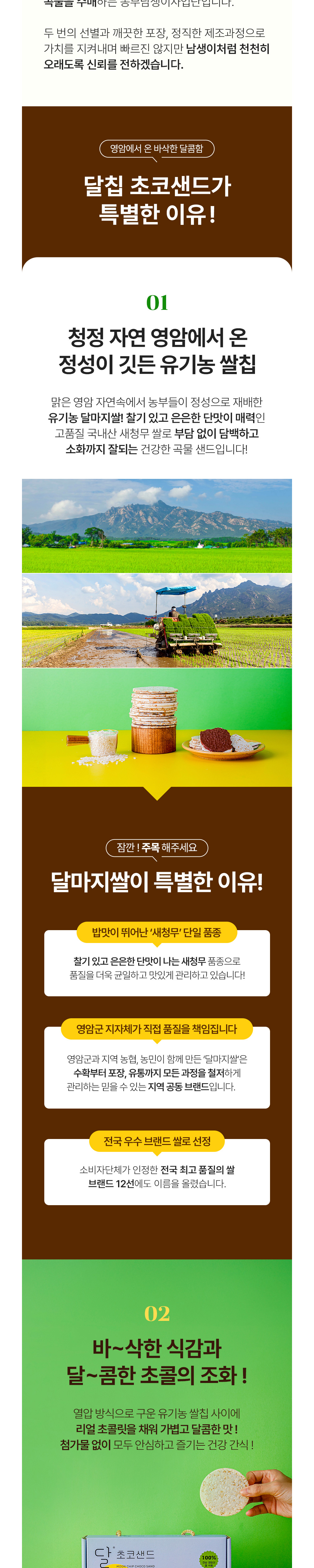 달칩 초코샌드 선물세트 12g x 20개입 상세이미지 2