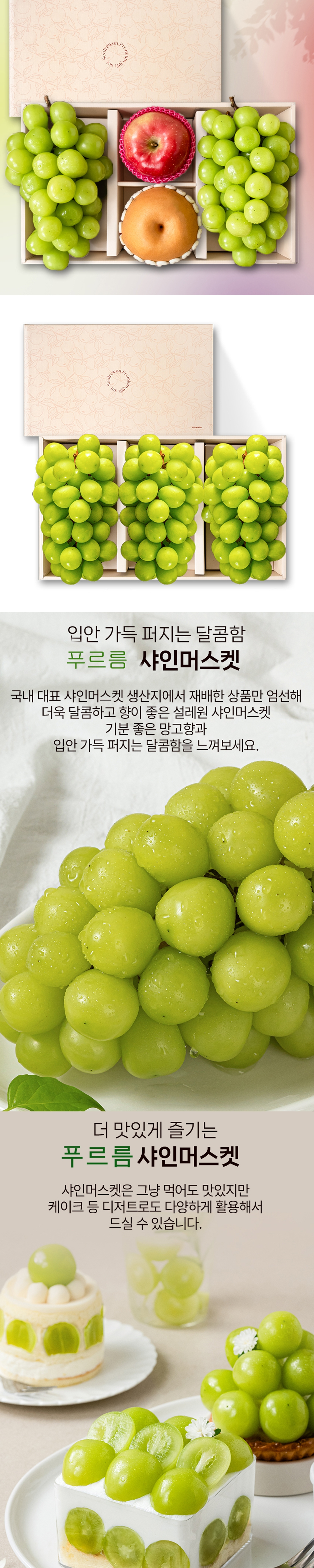 (푸르름) 선물용 샤인머스캣 세트 (800g 내외 특대과) (옵션선택)