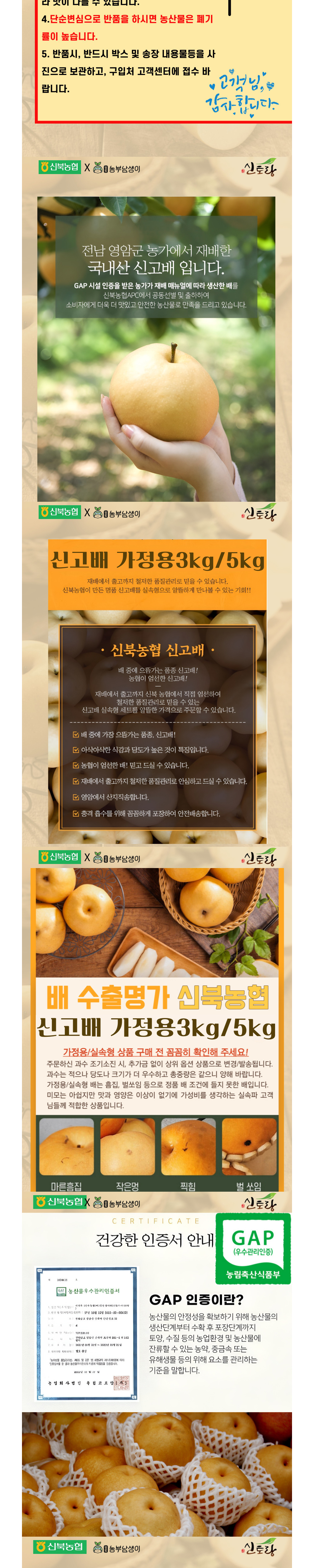 (제휴몰)(신북농협) 영암군 GAP 햇배 신고배 가정용 3kg