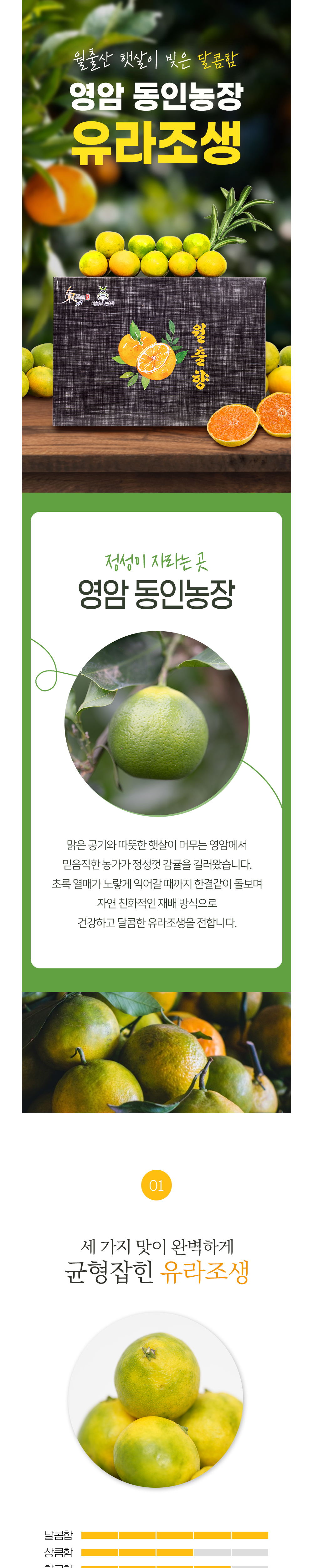 점퍼 상품상세 이미지-S1L3