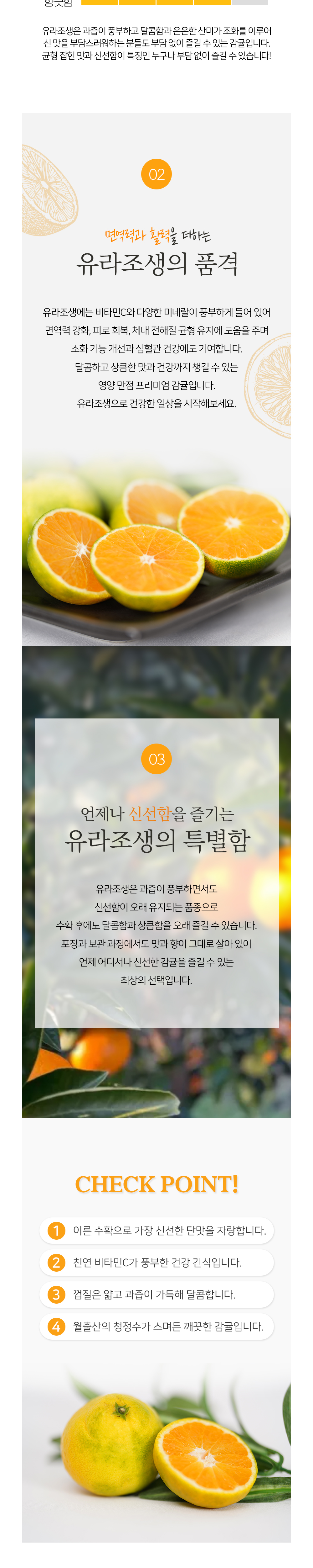 점퍼 상품상세 이미지-S1L3