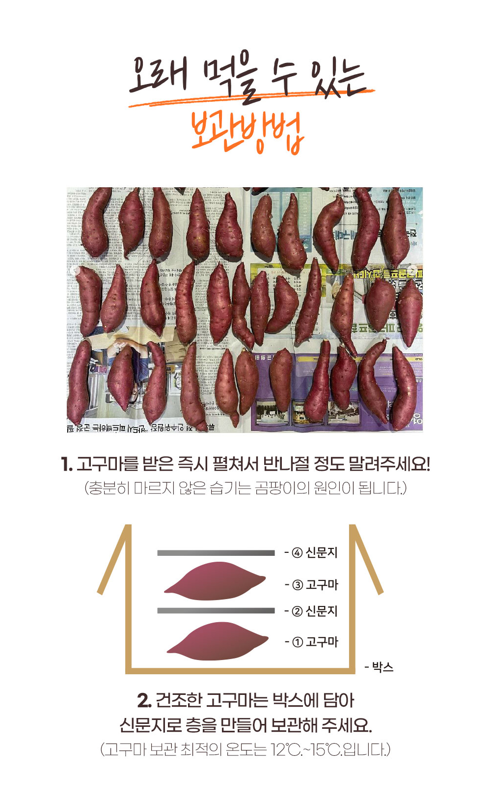 2025년 김의준 꿀고구마 3kg / 5kg (하/중/특상/대) 상세이미지 11