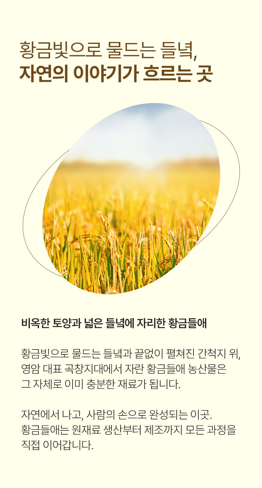 100% 전통방식 유자 찹쌀 한과 산자 1kg 상세이미지 3