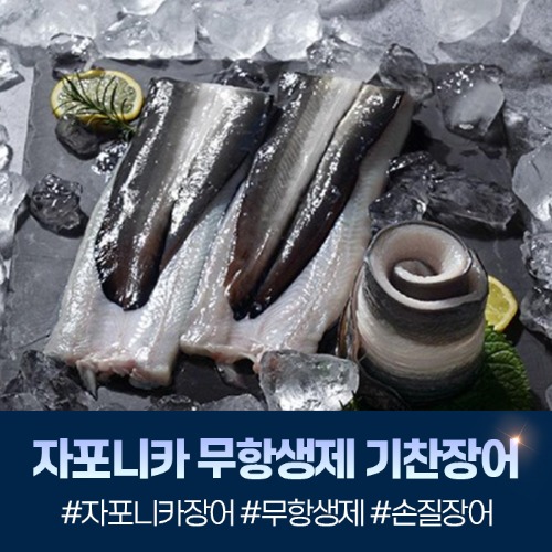 (해영수산) 자포니카 무항생제 HACCP 인증 기찬장어 1kg (손질장어)22311