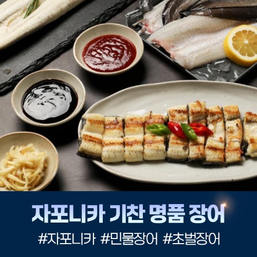(기찬명품장어) 자포니카 기찬 명품장어 1kg (손질장어/초벌장어)22310