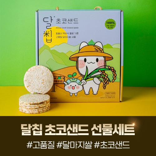 (사회적협동조합영암지역네트워크) 달칩 초코샌드 선물세트 12g x 20개입