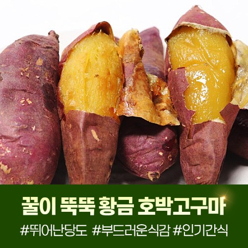 (황금유통) 황금 호박고구마 3kg/5kg/10kg