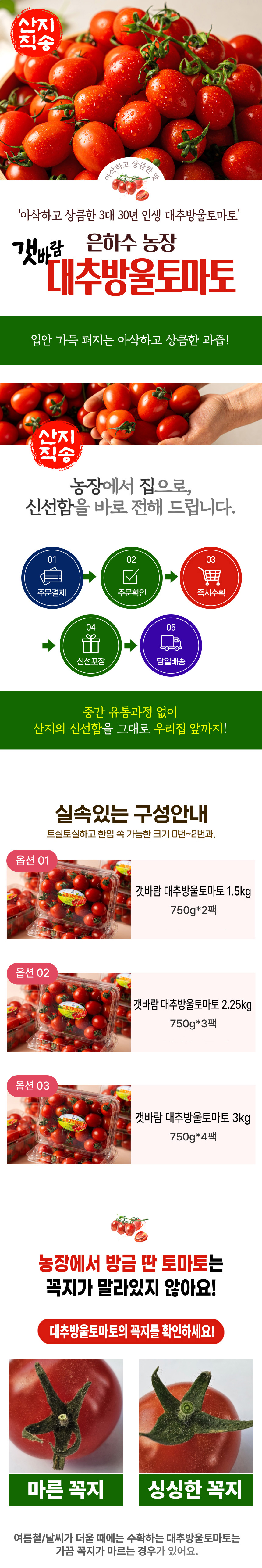 (은하수농장) 갯바람 고흥 대추방울토마토