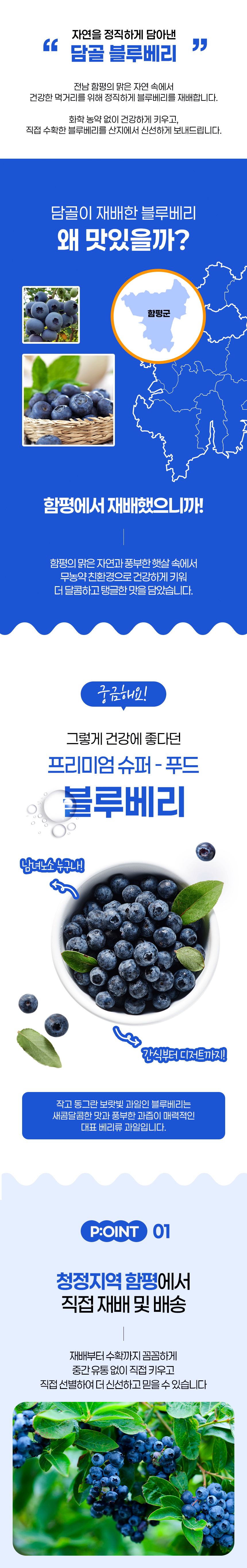 (담골) 햇살가득담은 블루베리 1kg