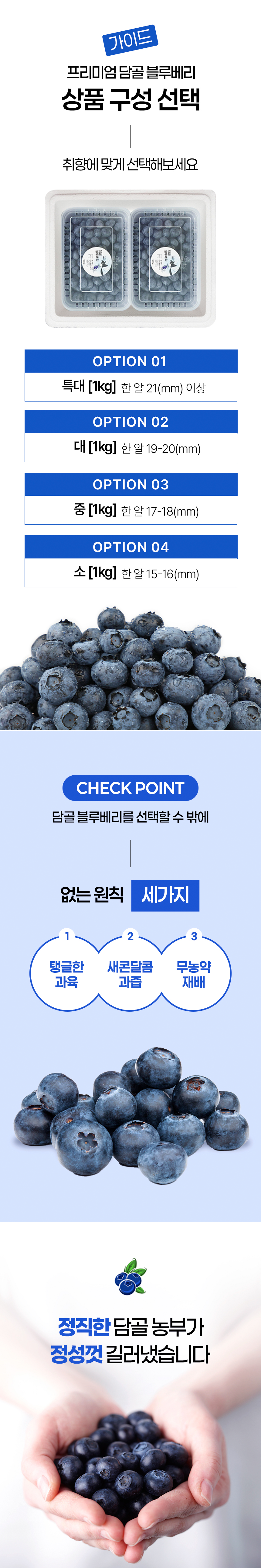 (담골) 햇살가득담은 블루베리 1kg