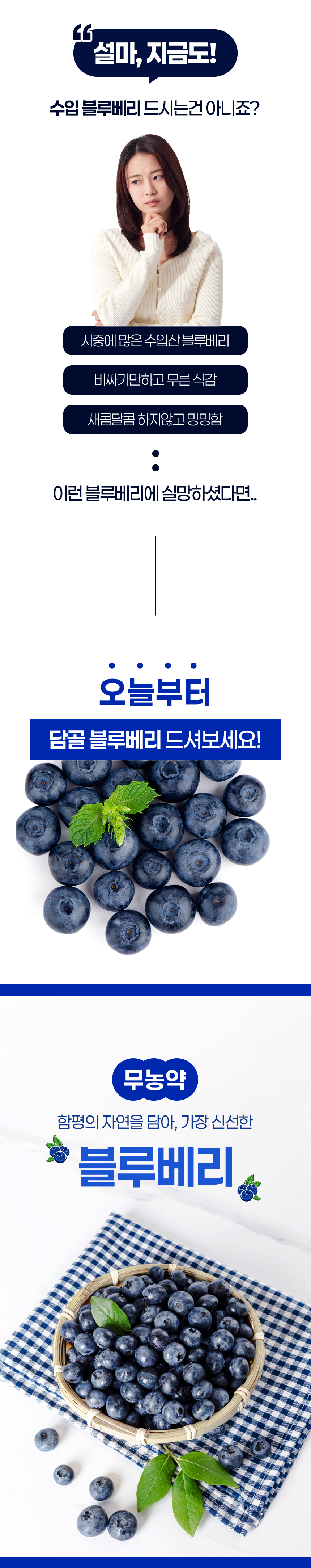 (담골) 햇살가득담은 블루베리 1kg