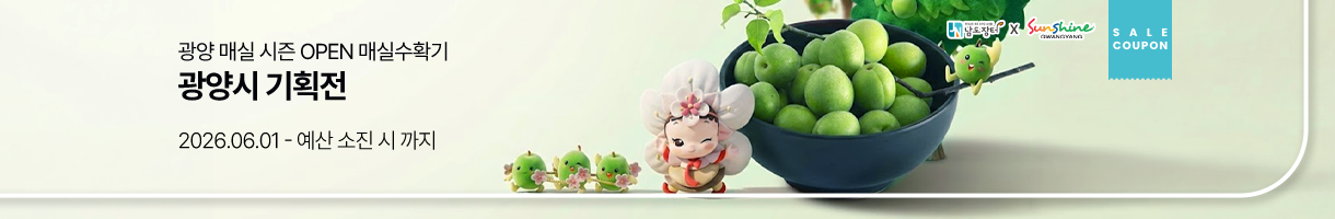 광양시 기획전