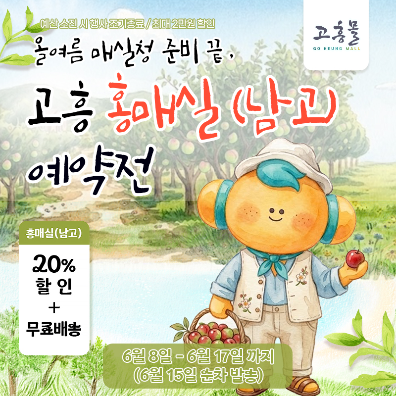 올여름 매실청 준비 끝, 고흥 홍매실 예약전