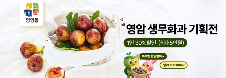 영암 무화과 DAY